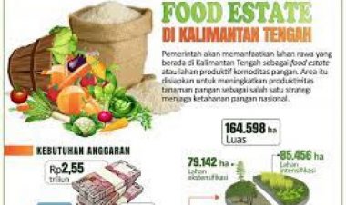 Kementan: Food Estate Berbasis Hortikultura Bawa Dampak Positif