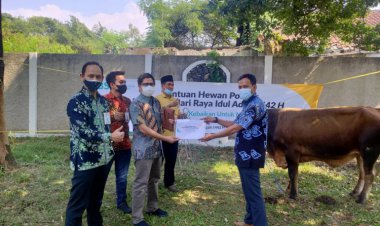 Sambut  Idul Adha 1442 H, BSI Salurkan 1 Ekor Sapi Untuk UMC
