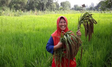 PBB Apresiasi Pendiri Pesantren Ekologi