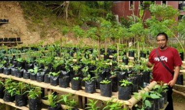 Wujud Ketahanan Pangan, UMC bersama Warga Tanam Ragam Tanaman di Desa Gunungmanik