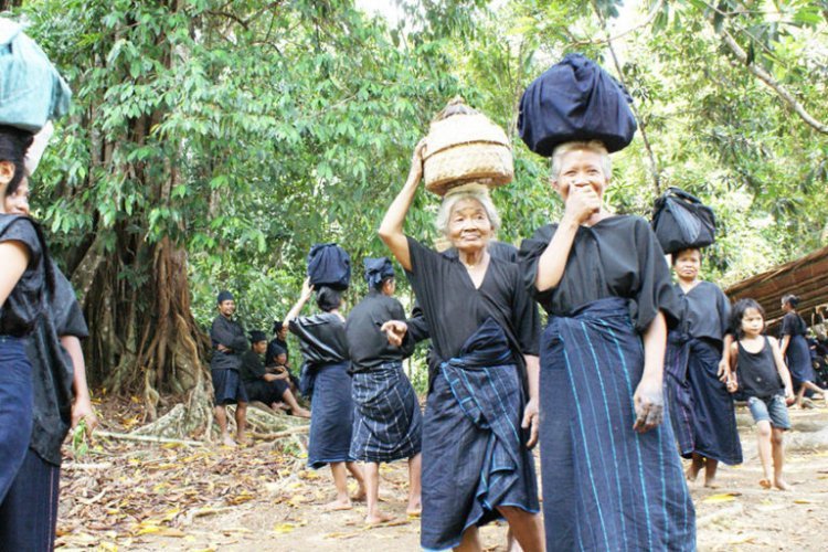 Tegar Hadapi Pandemi, Masyarakat Adat Ini Miliki Ekonomi Senilai 61 Miliar Setahun