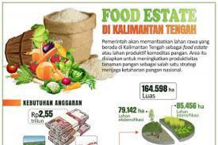 Kementan: Food Estate Berbasis Hortikultura Bawa Dampak Positif