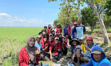 Mahasiswa UMC Hadirkan Pakan Ajaib dari Limbah